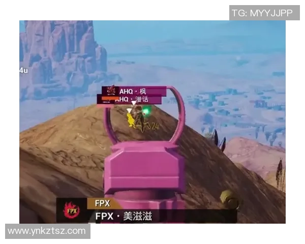 和平精英专题：聚焦FPX的意识