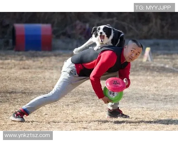 专业解读：北京飞盘队的阵地战打法_1