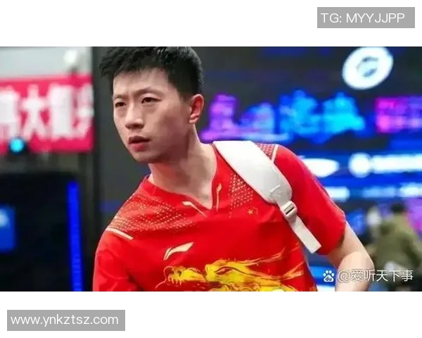 乒乓球战术：北京乒乓球队的运营体系