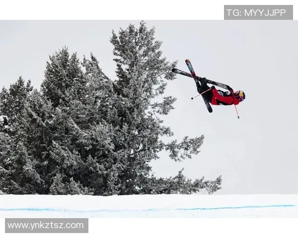 赛后复盘：北京极限运动队 vs 上海极限运动队的力量